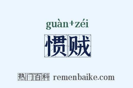 惯贼是什么意思的图片